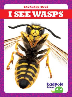 cover image of I See Wasps